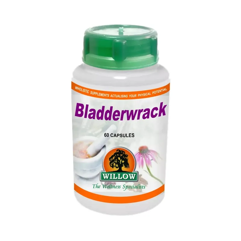 Bladderwrack 60