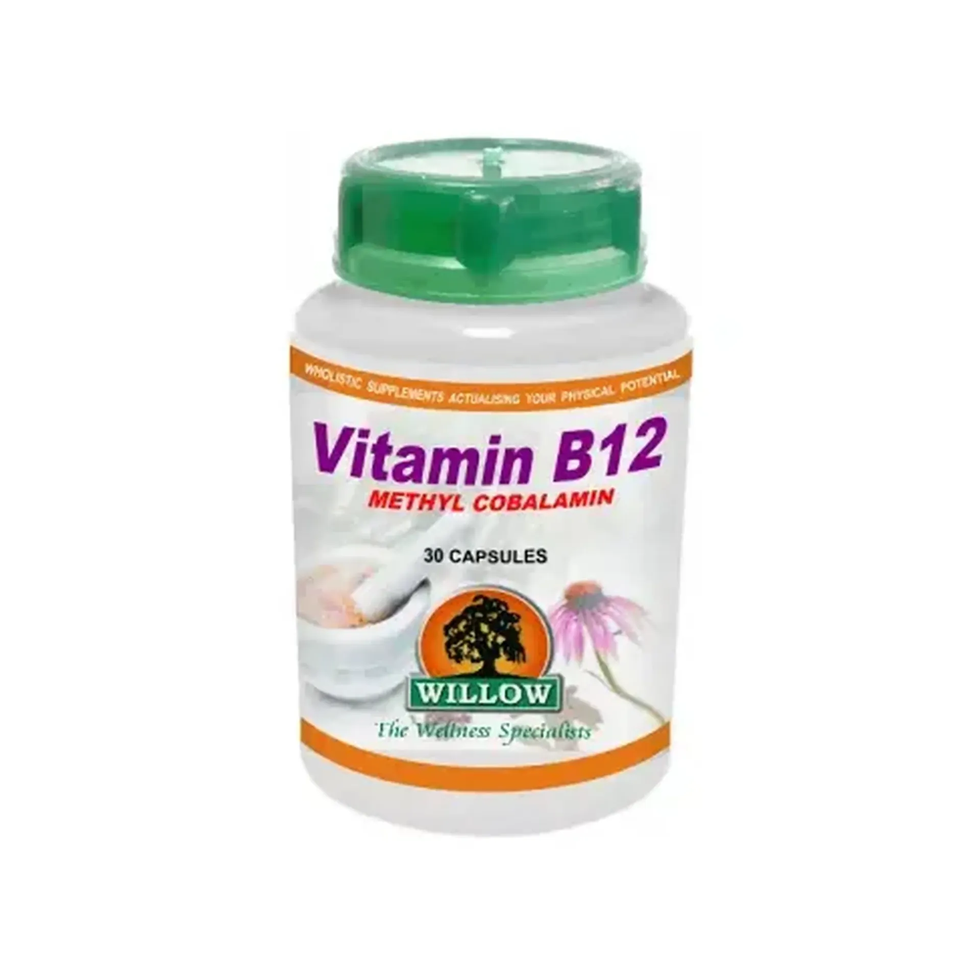 WILL59_Vitamin B12 30 Caps