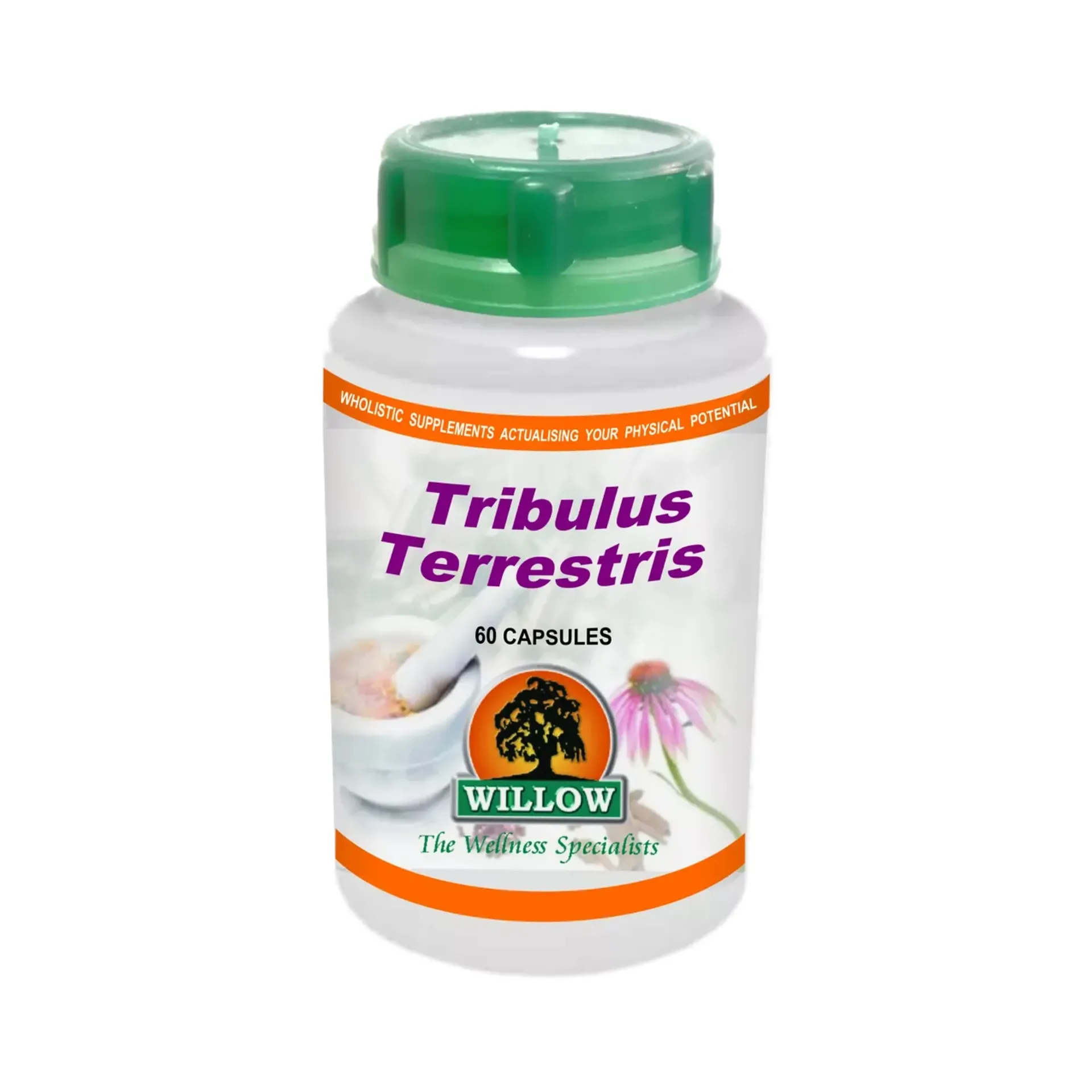 Tribulus Terrestris 60 Caps