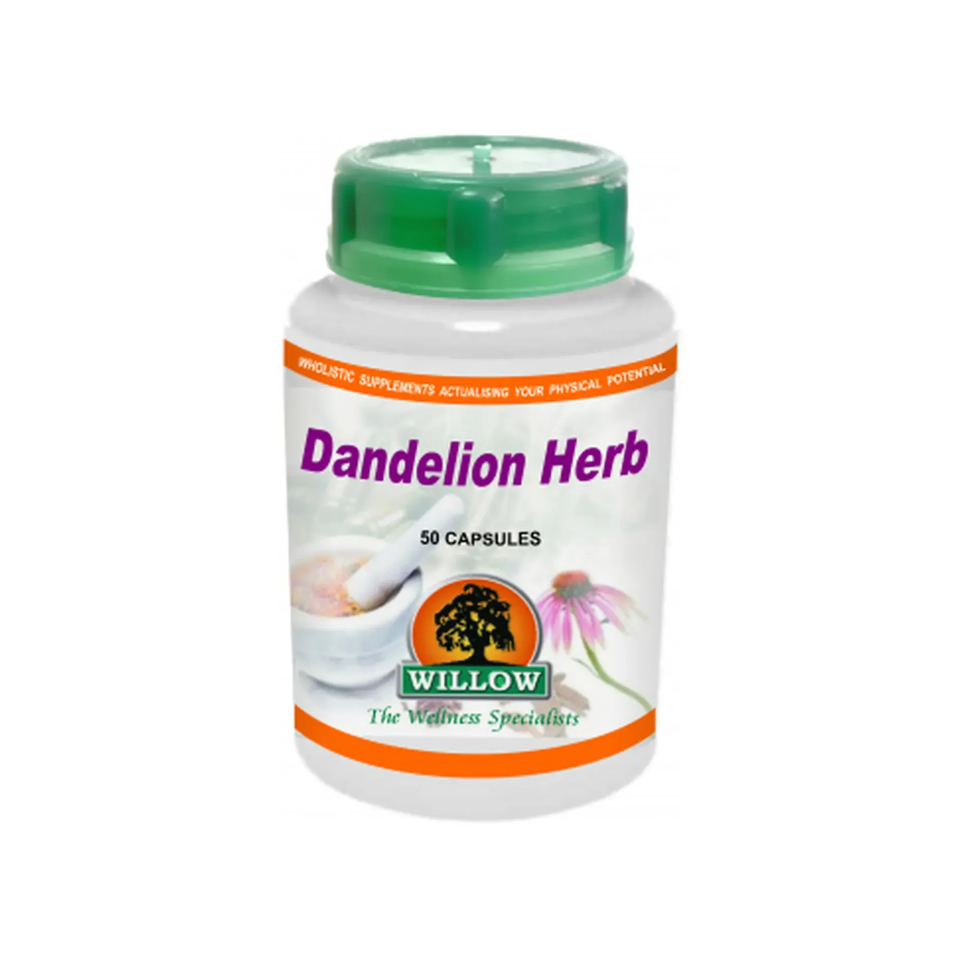 Dandelion Herb 50 Caps